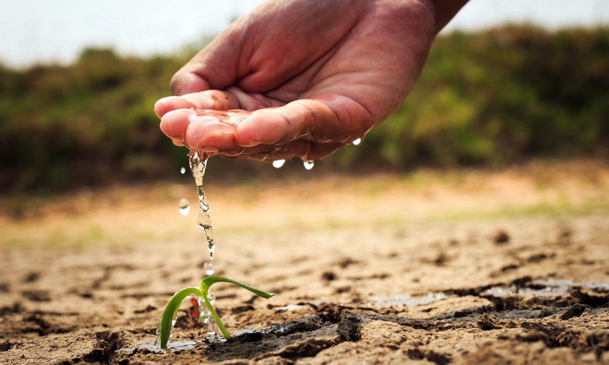 Hand wasser erde